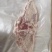 槽头肉/4-6斤精修带皮槽头