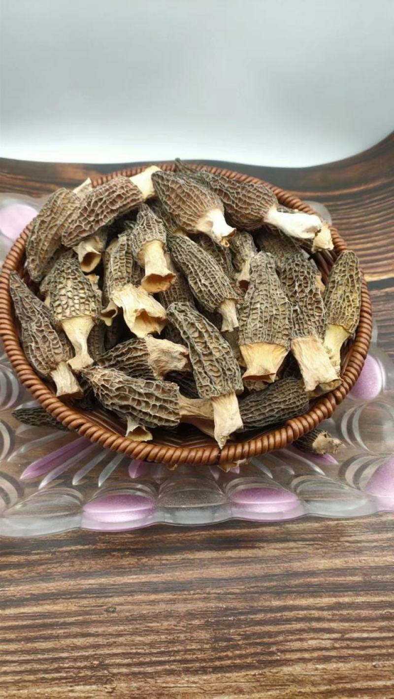 【上新】精品羊肚菌净重500g