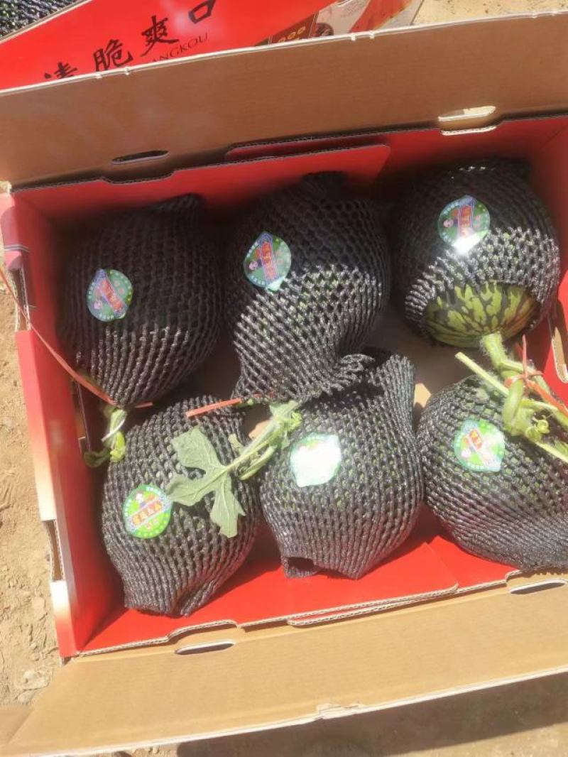 【实力商家】全美2k精品西瓜大量供应代发全国甜度高