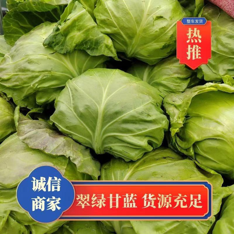 河南焦作翠绿甘蓝大量上市，各种精品蔬菜产地直供，量大从优