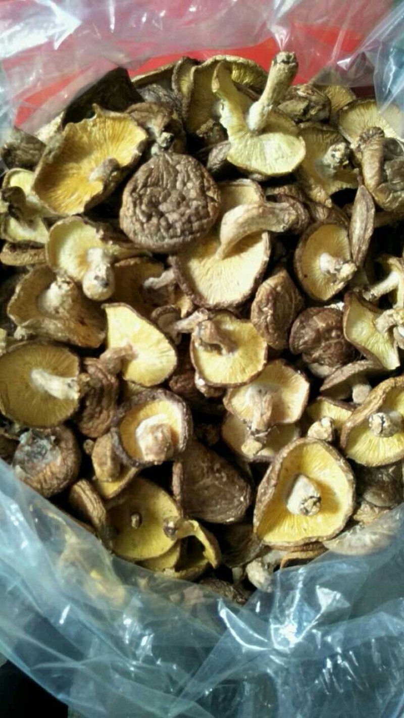 河源特产新货香菇干货薄菇颜色好，大量批发