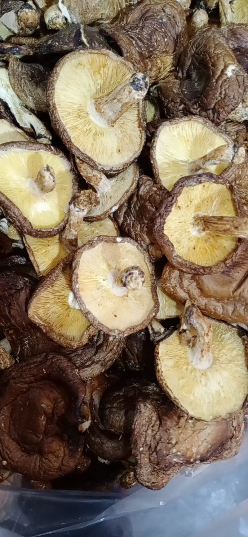 河源特产新货香菇干货薄菇颜色好，大量批发