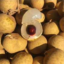 广西石硖龙眼，肉厚核小果实饱满6月底上市产地直销