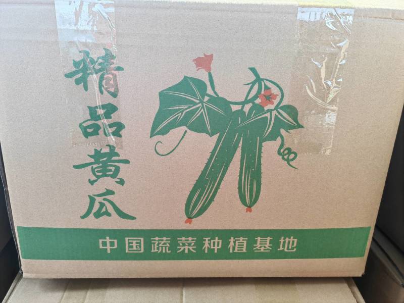 随州市塔湾旱黄瓜