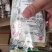 麻将面皮精致面皮凉