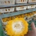 金耳