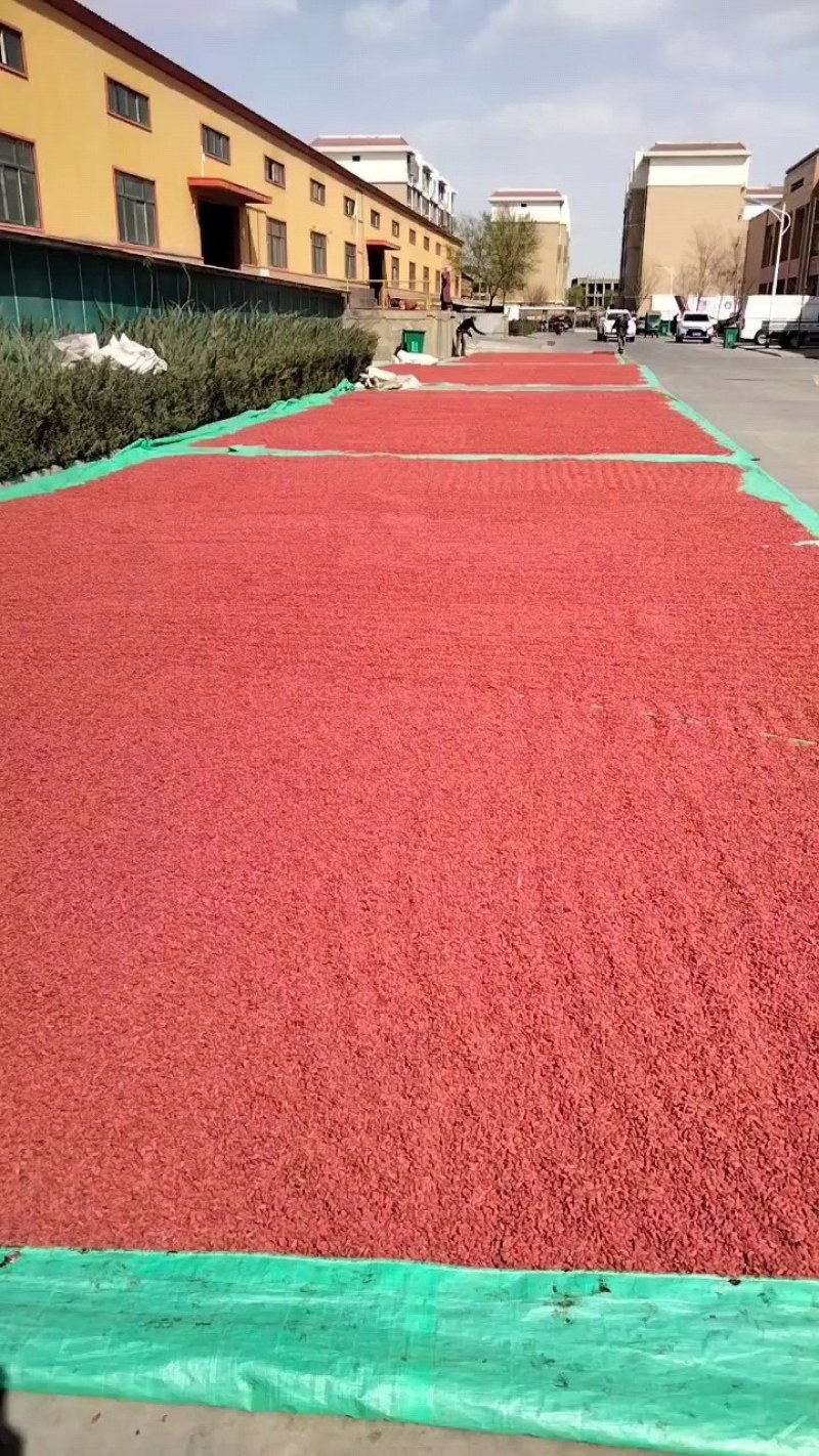 宁夏红枸杞产地直供，可供电商，热卖中，整车发货