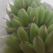 苹果蕉
