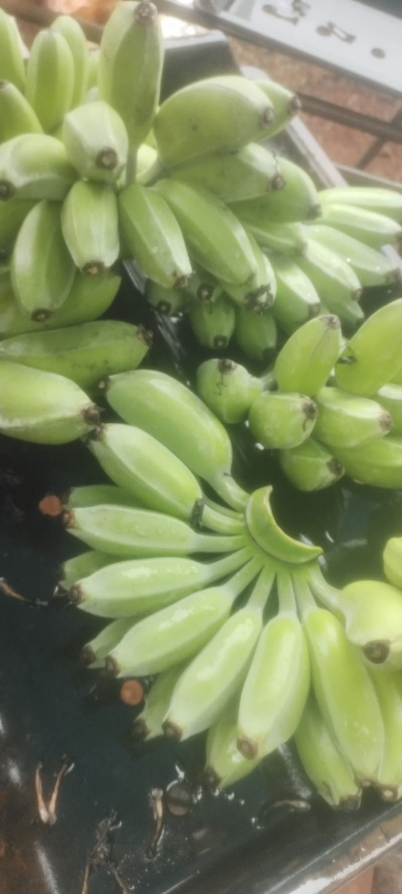 苹果蕉