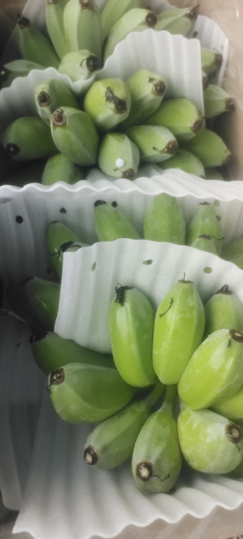 苹果蕉