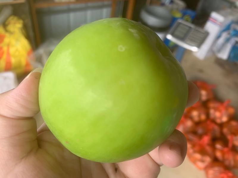 苹果枣雪梨枣都有货，清脆可口，支持一件代发