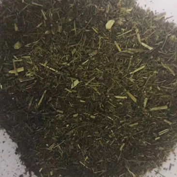 甜叶菊渣14水分12