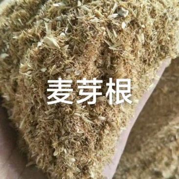 麦芽根蛋白26水分12