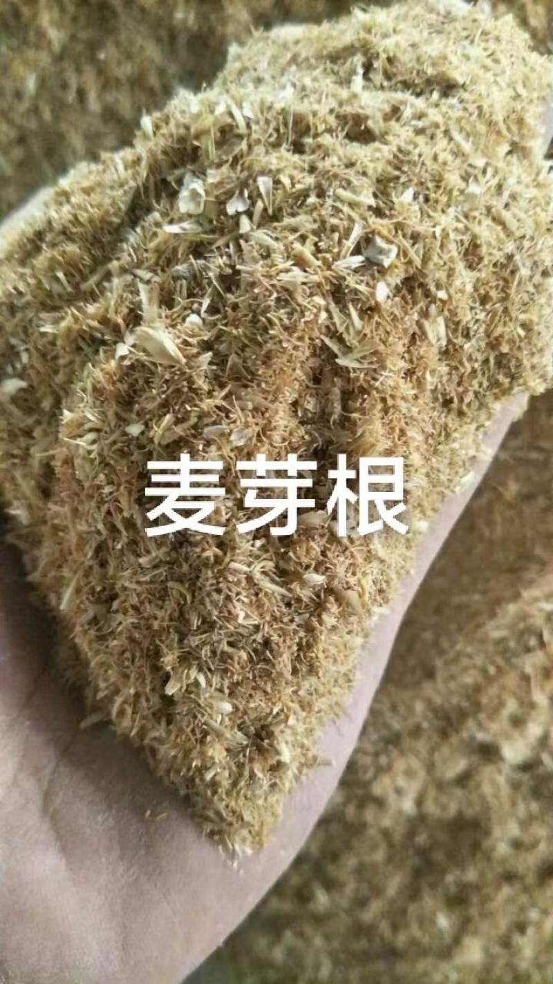 麦芽根蛋白26水分12