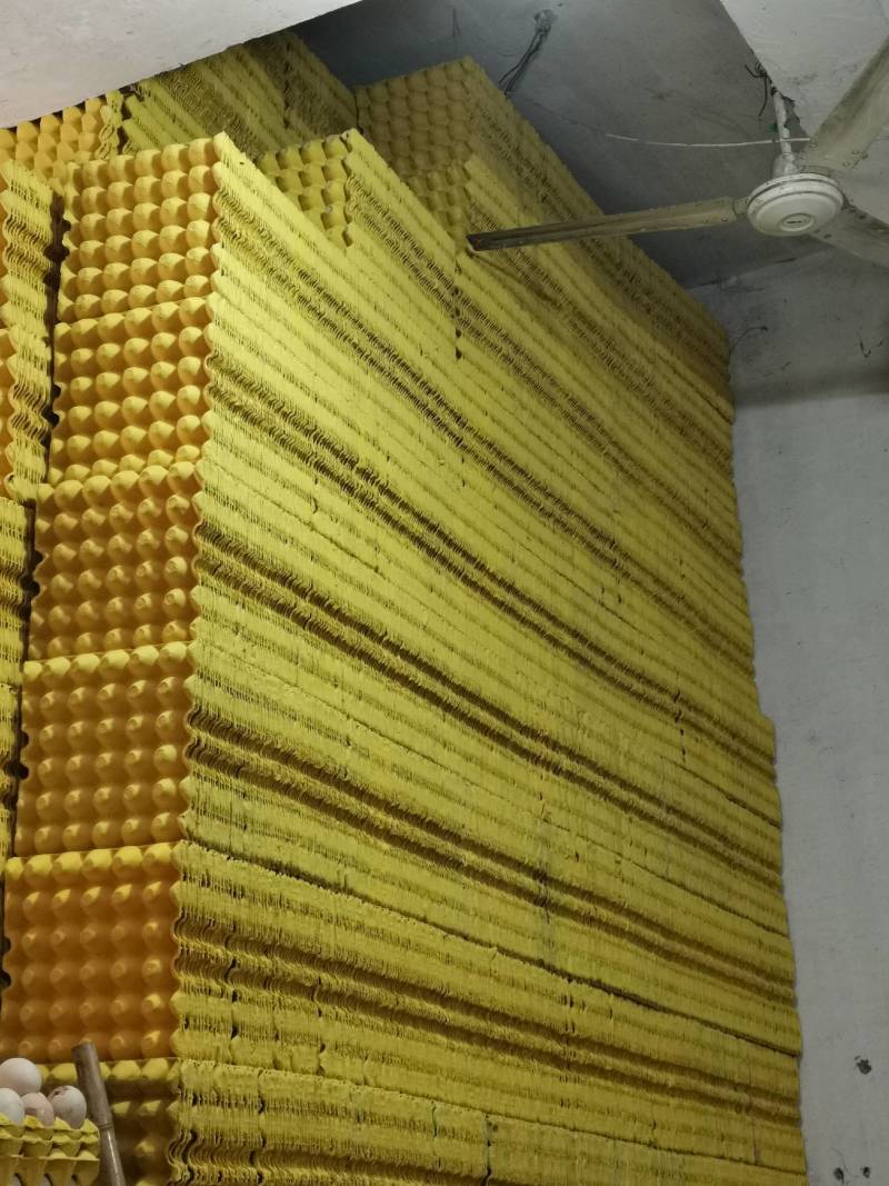 大量出售鸡蛋纸箱纸托