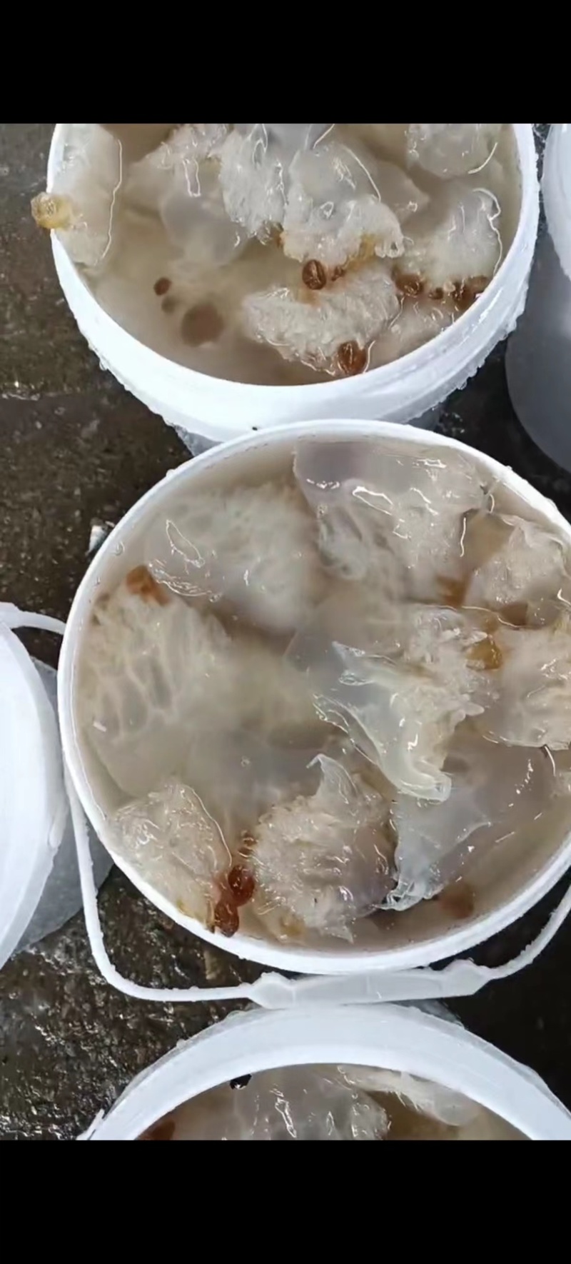 海蛰头菊花蛰头口感爽脆价格便宜可常年供货欢迎咨询