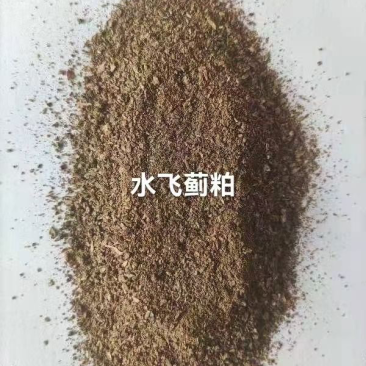 水飞蓟粕蛋白20以上水分12