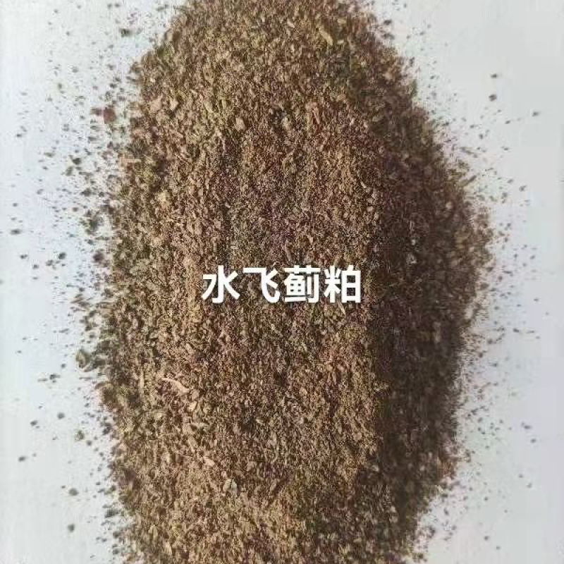 水飞蓟粕蛋白20以上水分12