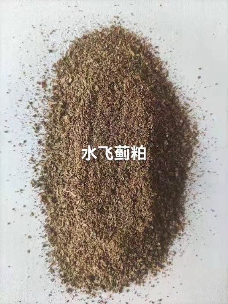 水飞蓟粕蛋白20以上水分12