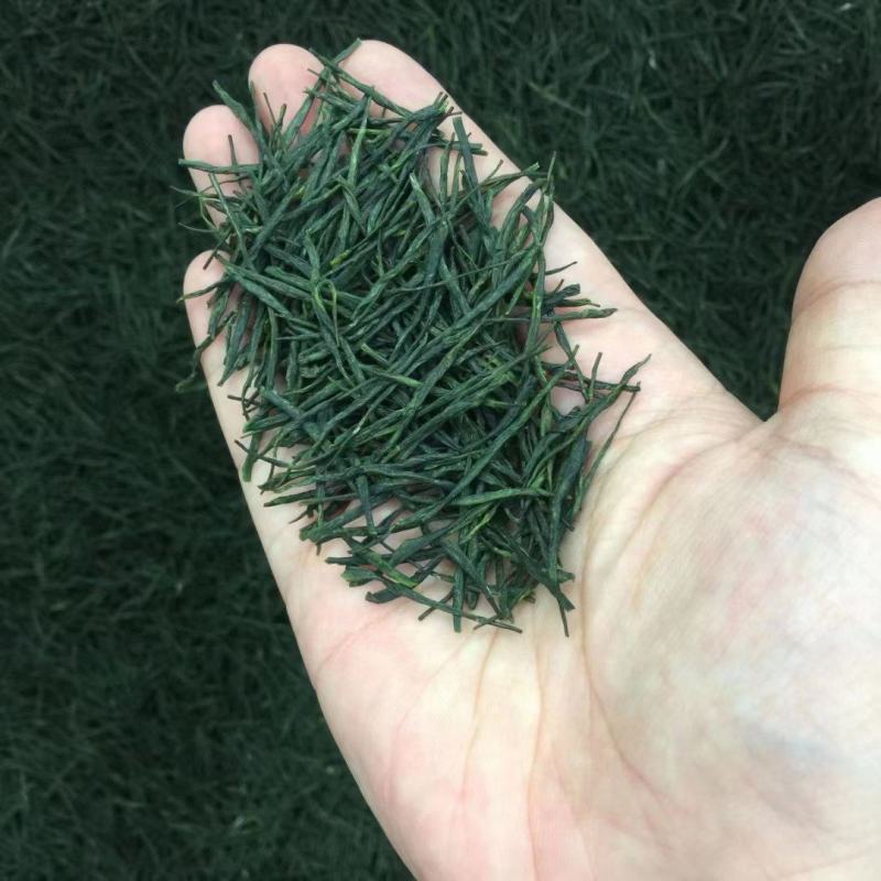 头采芽茶恩施玉露茶新茶春茶明前茶