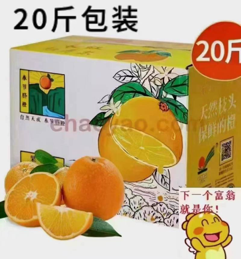 脐橙