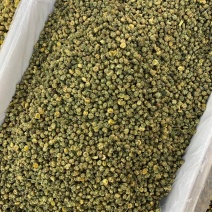 胎菊一手货源批发
