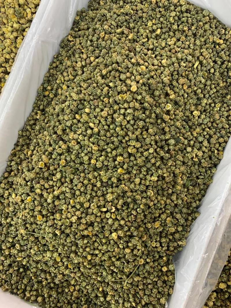 胎菊一手货源批发