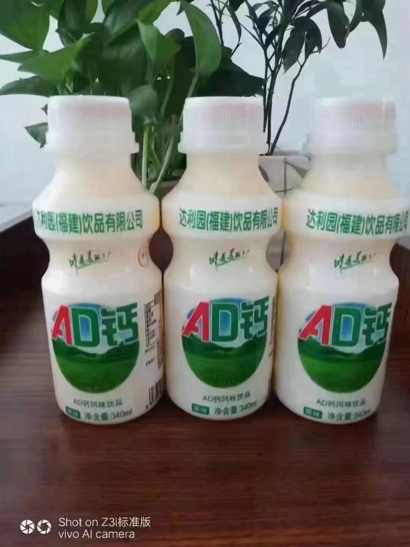 乳酸菌
