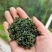 供应恩施毛尖茶新茶春茶明前茶硒茶。