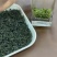 供应恩施毛尖茶新茶春茶明前茶硒茶。