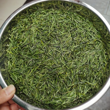 恩施富硒贡芽芽尖茶清香型绿茶批发零售