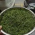 恩施富硒贡芽芽尖茶清香型绿茶批发零售