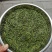 恩施富硒贡芽芽尖茶清香型绿茶批发零售