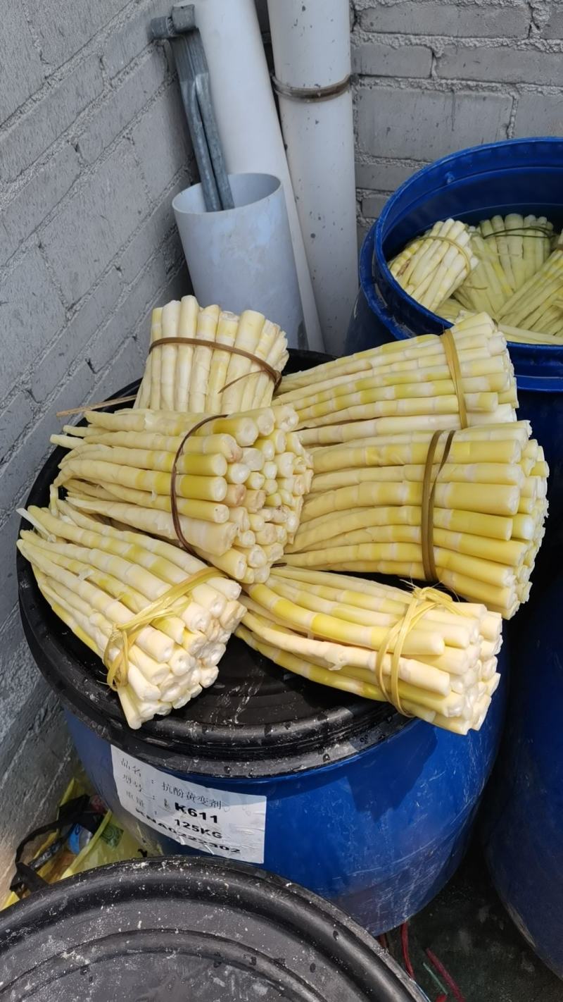 大量供应小甜笋