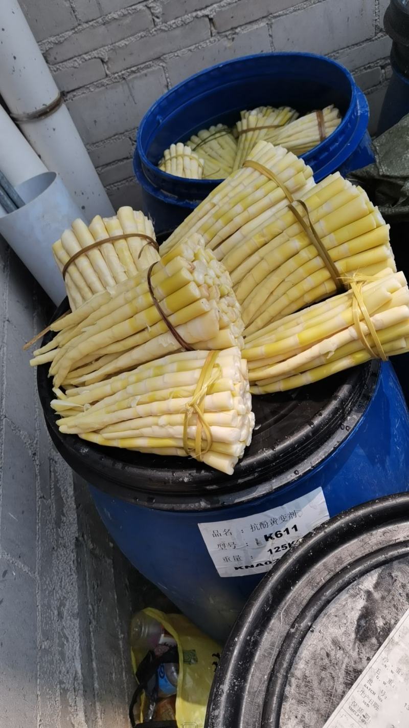 大量供应小甜笋