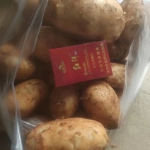 丽薯六号土豆质量好价格优