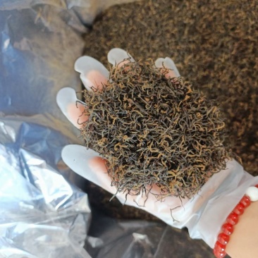 黄山正宗祁门红茶特产全国发货量大优化欢迎联系
