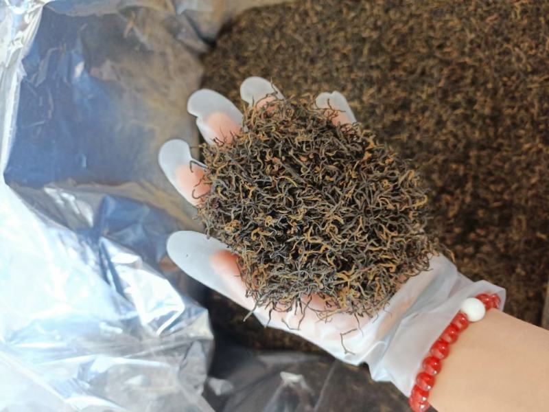 黄山正宗祁门红茶特产全国发货量大优化欢迎联系