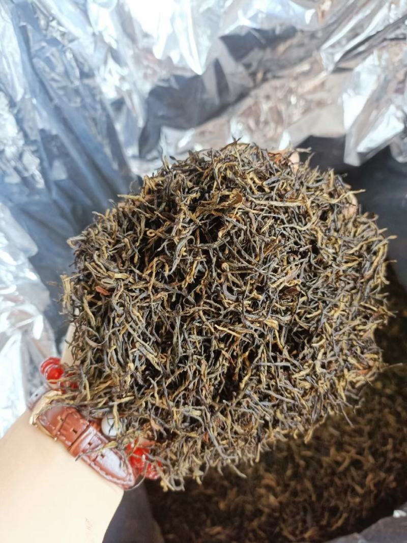 黄山正宗祁门红茶特产全国发货量大优化欢迎联系