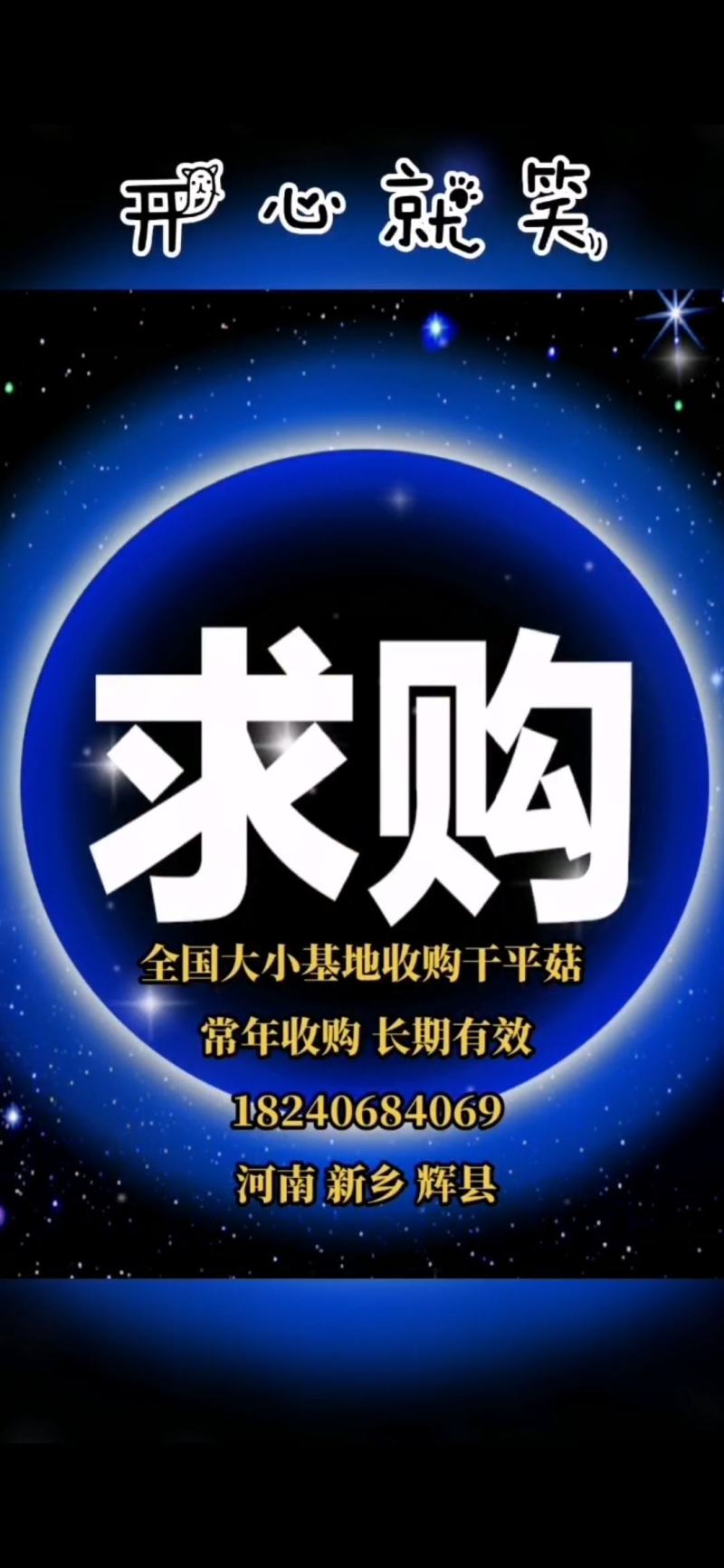 常年上门收购晒干平菇有货联系我好货次货淋雨货