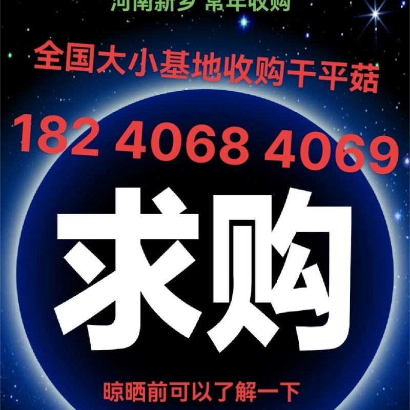 常年上门收购晒干平菇有货联系我好货次货淋雨货