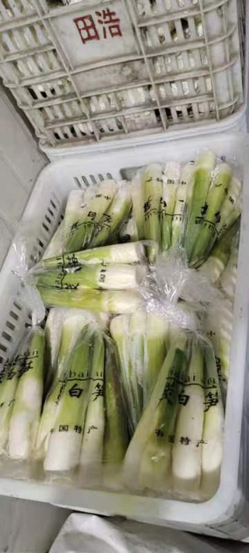 【精品茭白】预包装半成品优质茭白笋双季茭白