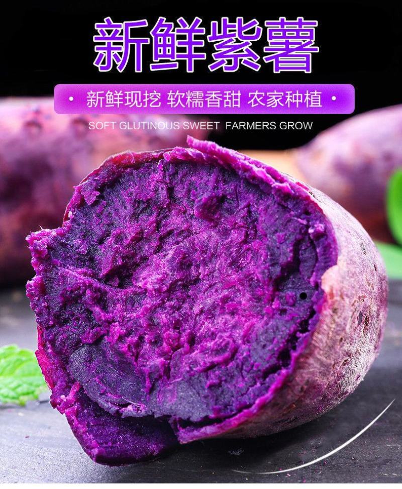云南小花叶紫薯，支持一件代发，整车发货！
