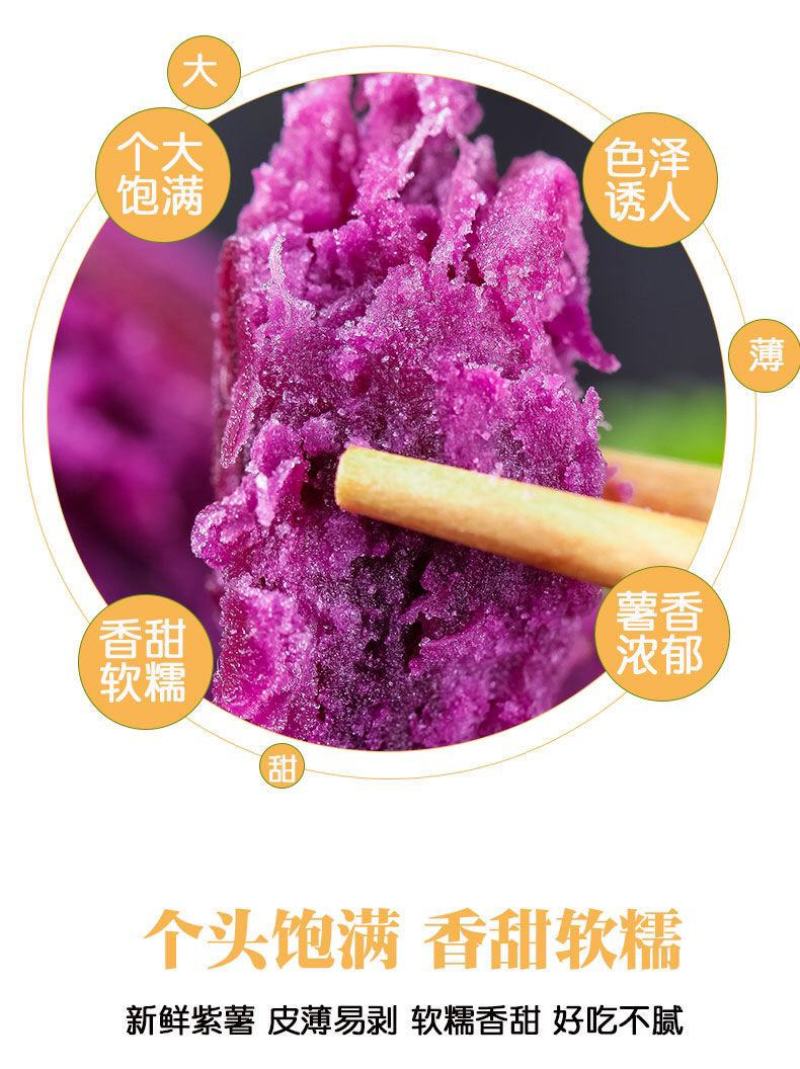 云南小花叶紫薯，支持一件代发，整车发货！