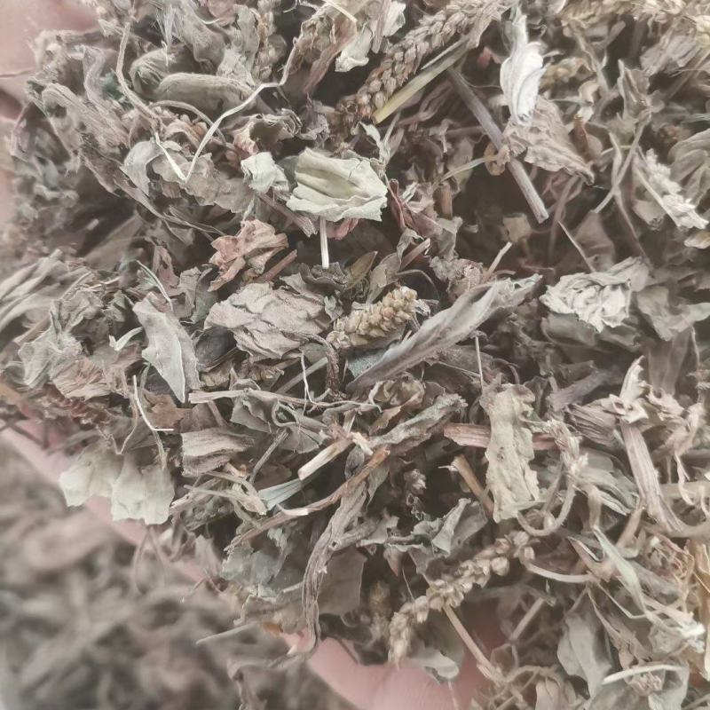 车前草车前子草药大全子类大全