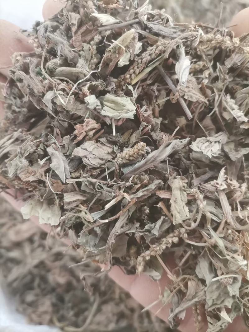 车前草车前子草药大全子类大全