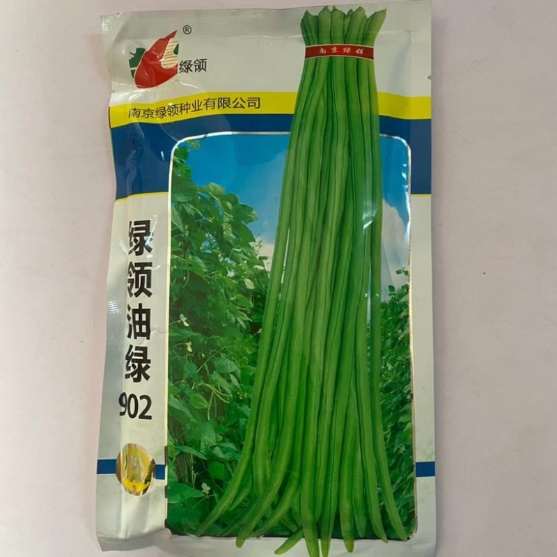 绿领豇豆种子油绿902，早208翠绿热豇豆品种早熟品种