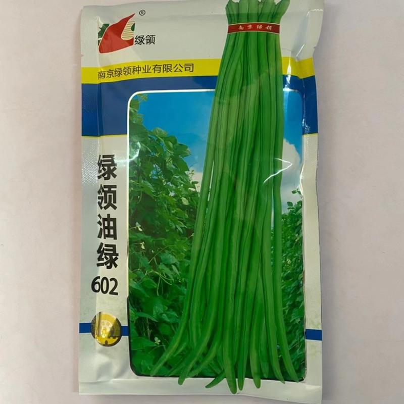 绿领豇豆种子油绿902，早208翠绿热豇豆品种早熟品种