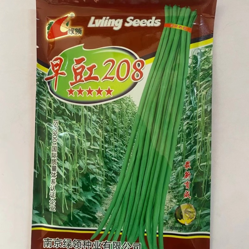 绿领豇豆种子油绿902，早208翠绿热豇豆品种早熟品种
