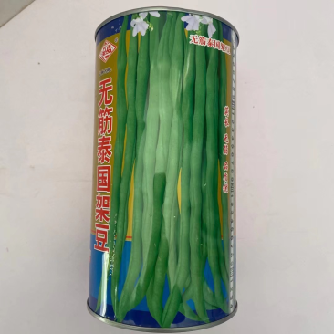 无筋豆泰国豆种子抗热品种早熟品种架豆种子